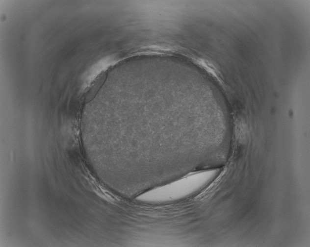 X0000067891355200604201258