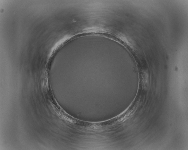 X0000067891358200604201258