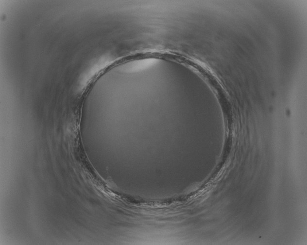 X0000067891359200604201258