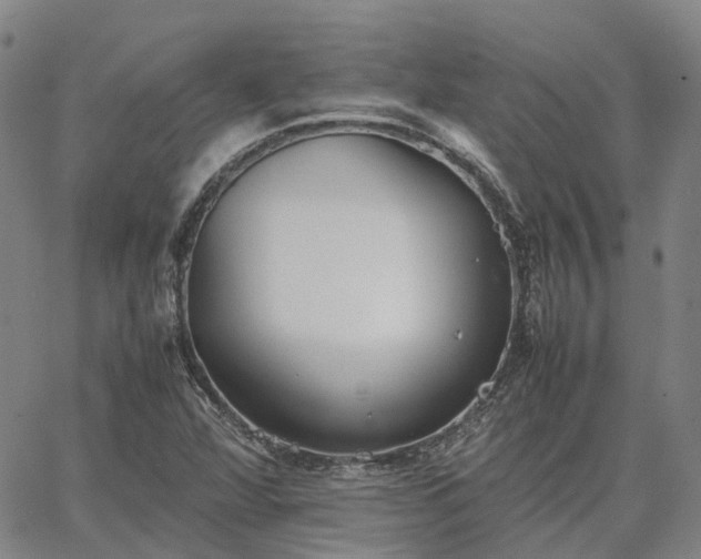 X0000067891360200604201258