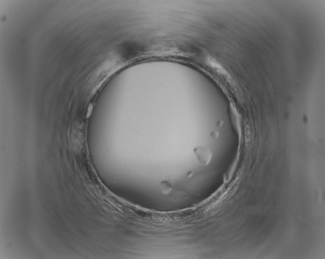 X0000067891361200604201258