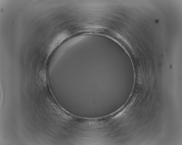 X0000067891362200604201258