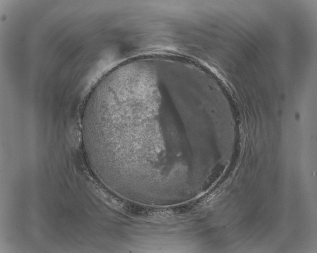 X0000067891363200604201258