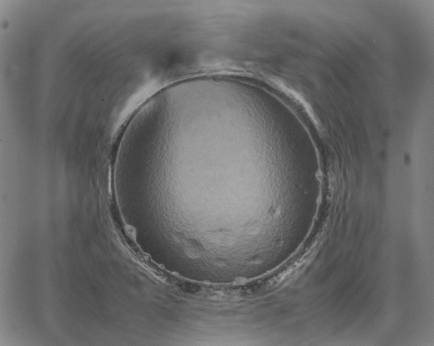 X0000067891365200604201258