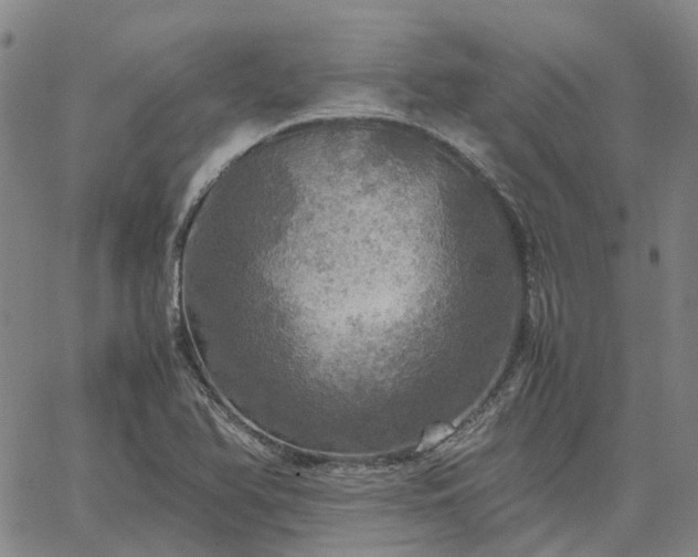 X0000067891366200604201258