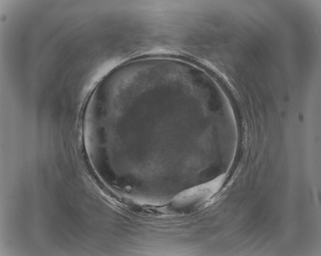 X0000067891367200604201258