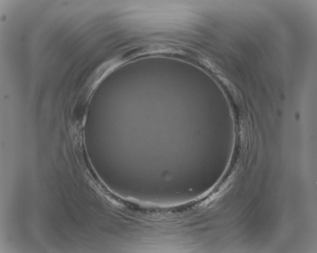 X0000067891369200604201258