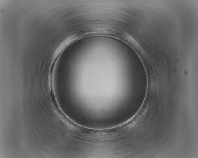 X0000067891370200604201258