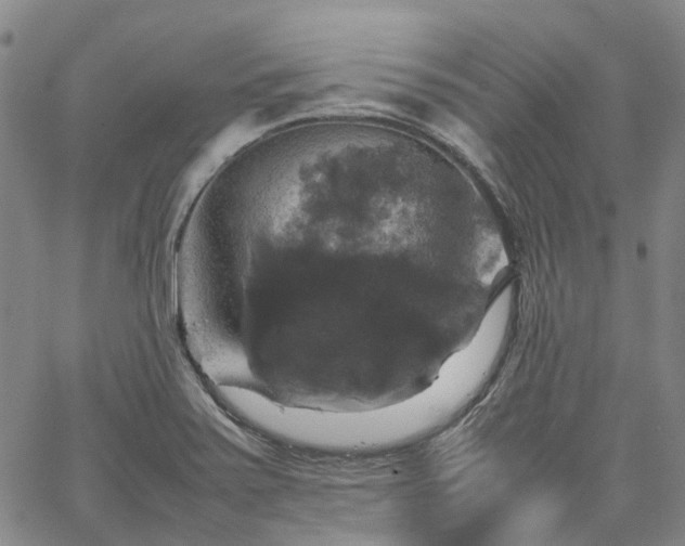 X0000067891371200604201258