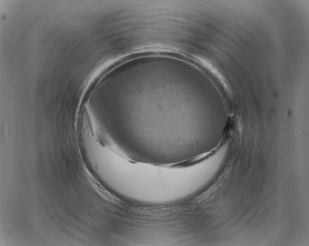 X0000067891372200604201258