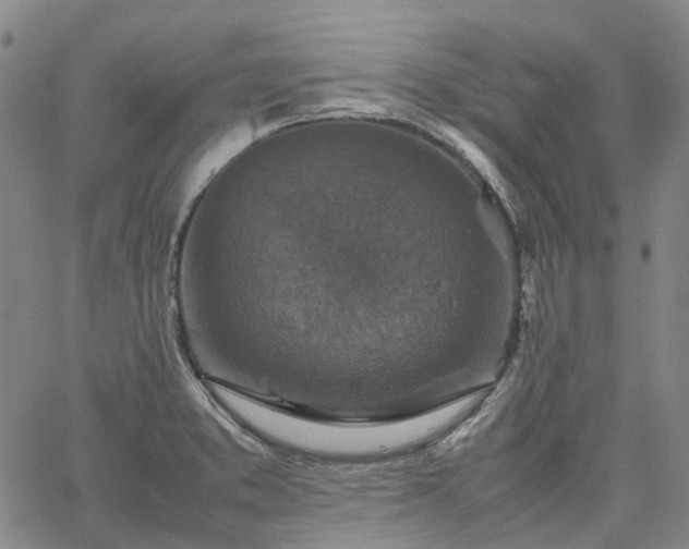 X0000067891373200604201258