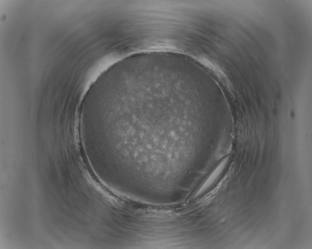 X0000067891374200604201258