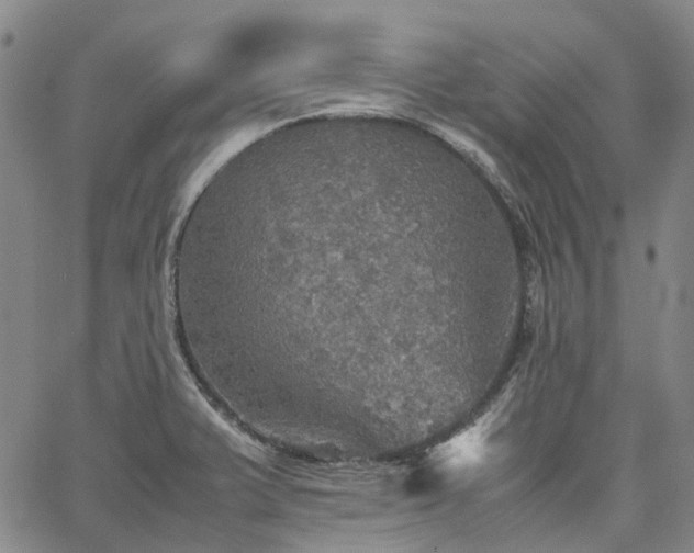 X0000067891375200604201258