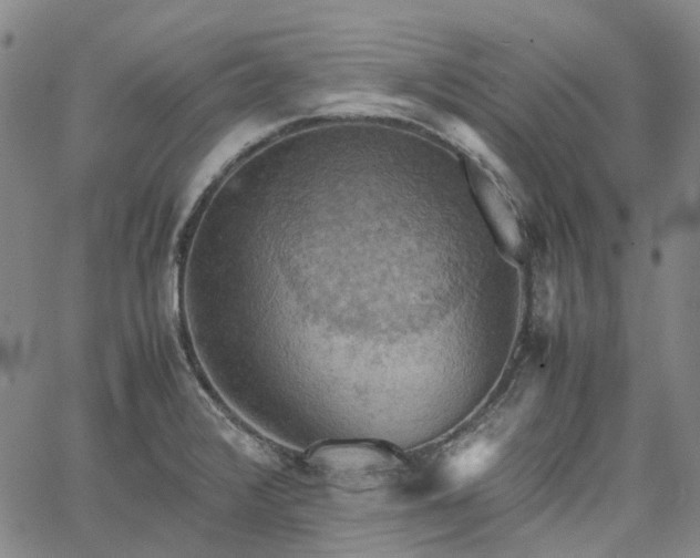 X0000067891376200604201258