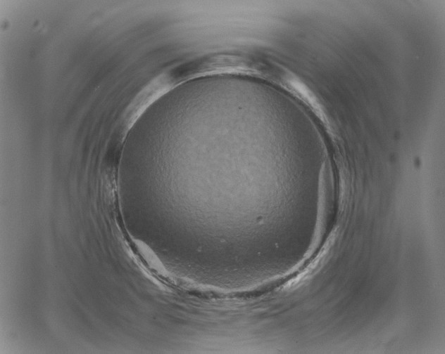 X0000067891377200604201258