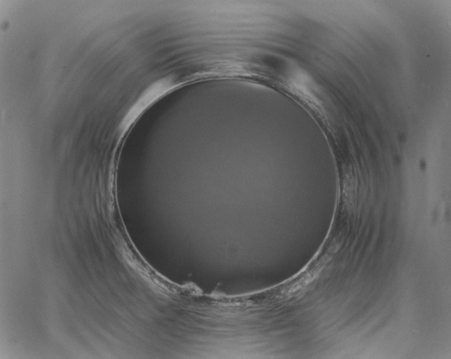 X0000067891378200604201258