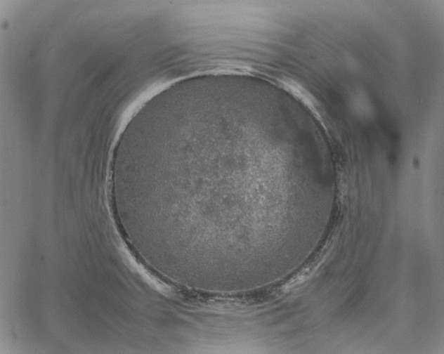 X0000067891379200604201258