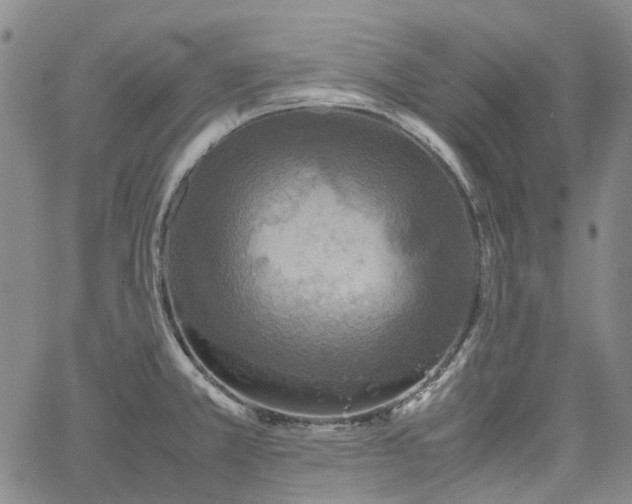 X0000067891381200604201258