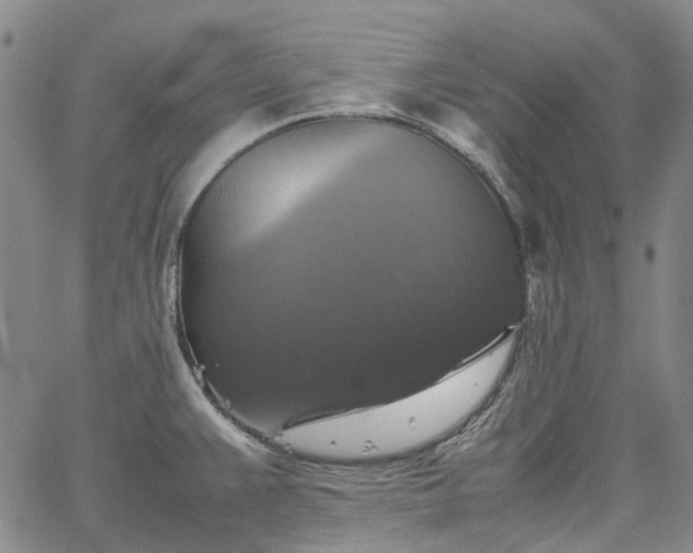 X0000067891383200604201258