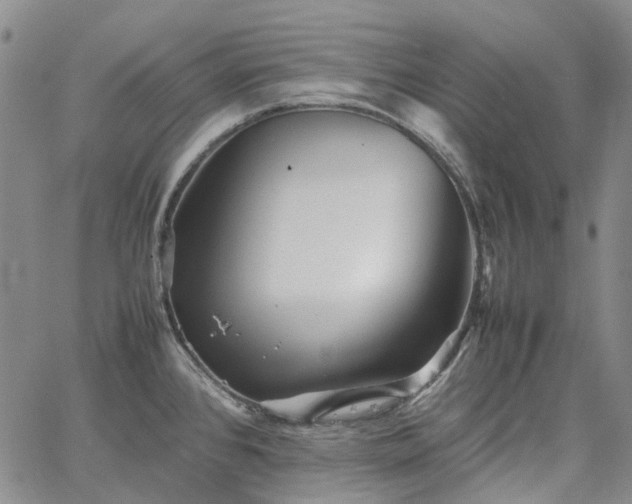 X0000067891384200604201258