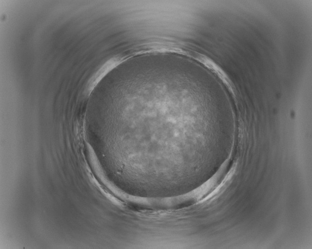 X0000067891385200604201258