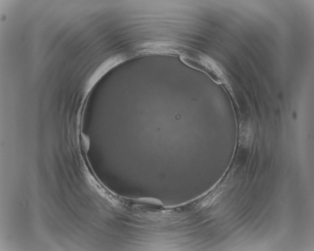 X0000067891386200604201258