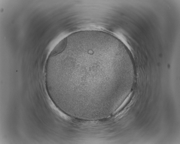 X0000067891387200604201258