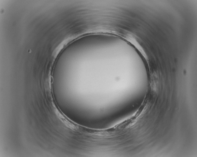 X0000067891388200604201258