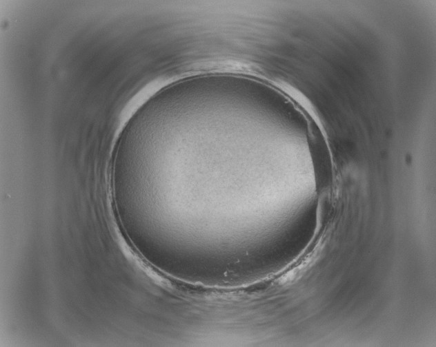 X0000067891389200604201258