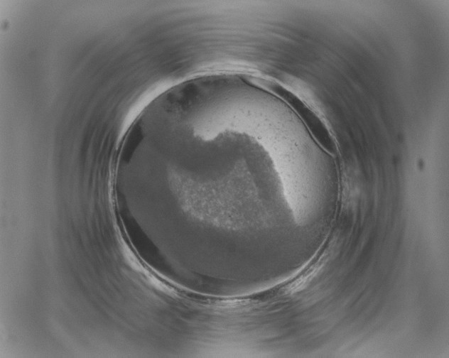 X0000067891390200604201258