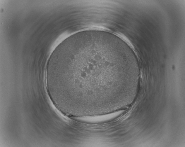 X0000067891391200604201258