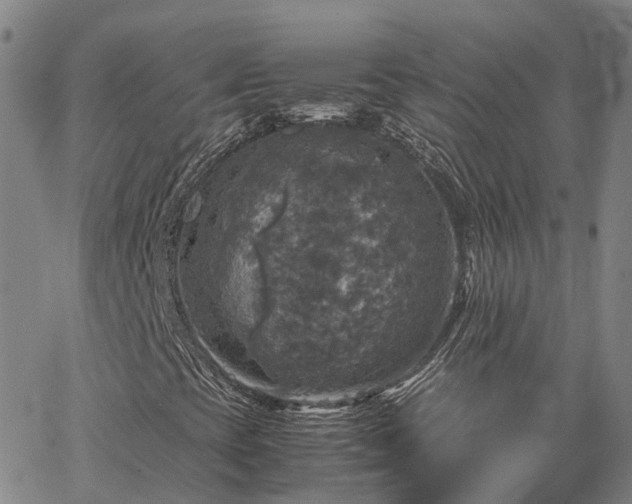 X0000067891393200604201257