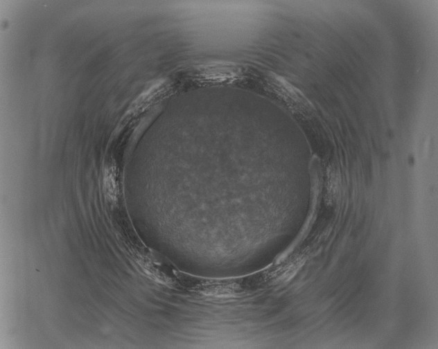 X0000067891394200604201257