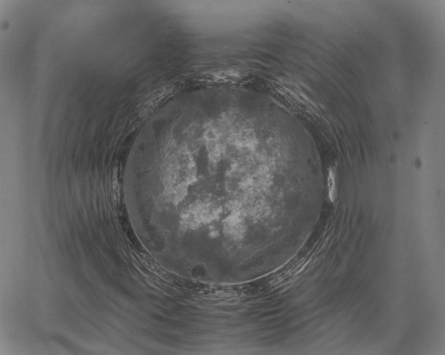 X0000067891395200604201257