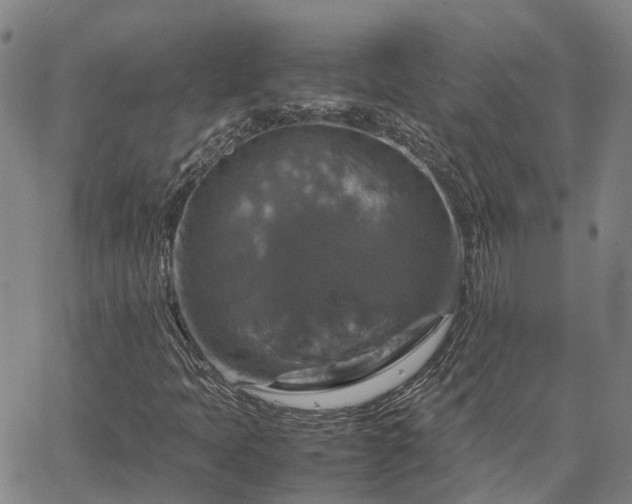 X0000067891397200604201257