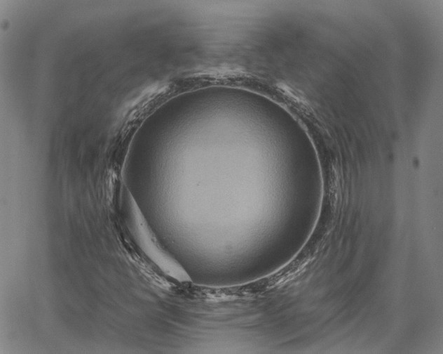 X0000067891398200604201257