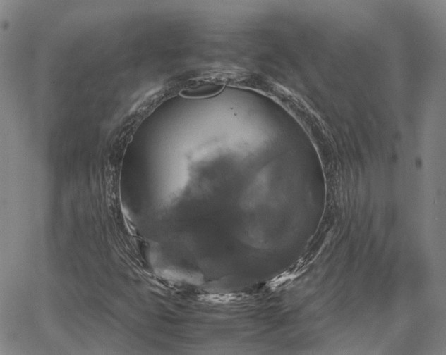 X0000067891399200604201257