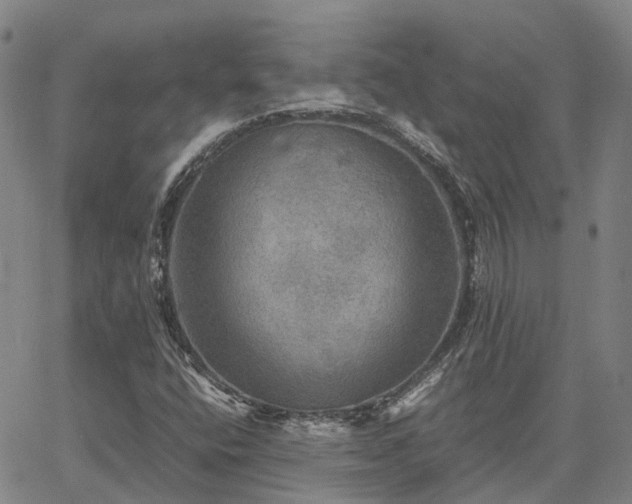 X0000067891400200604201257