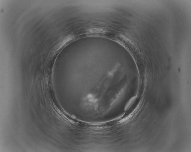 X0000067891401200604201257