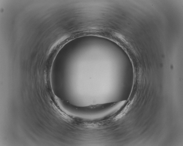 X0000067891402200604201257