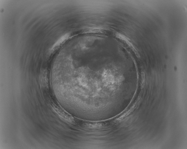 X0000067891403200604201257