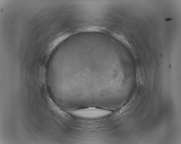 X0000067891404200604201257