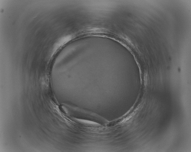 X0000067891405200604201257