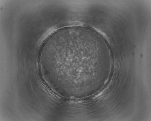 X0000067891407200604201257