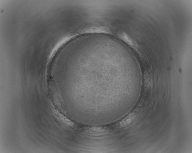 X0000067891408200604201257