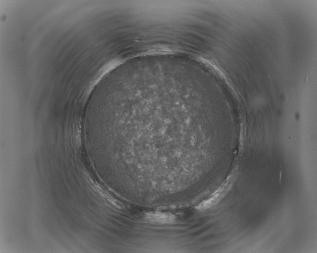 X0000067891409200604201257