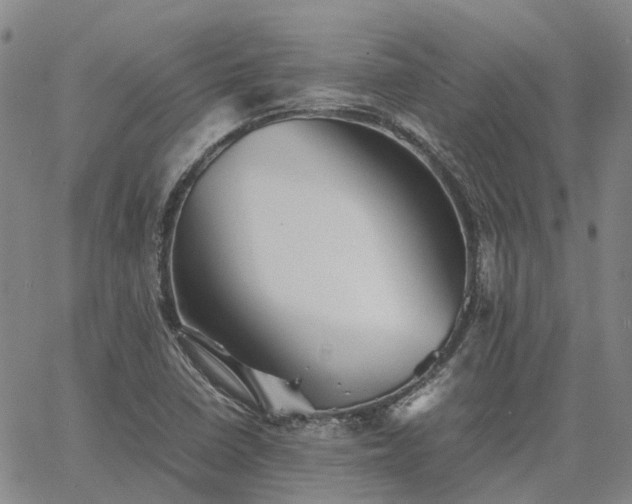 X0000067891410200604201257