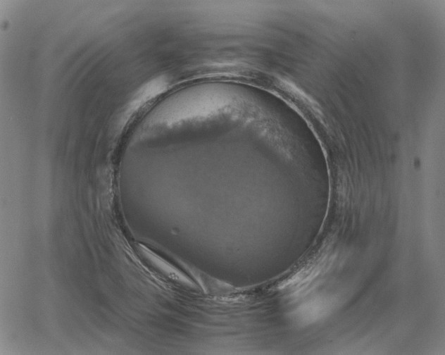 X0000067891411200604201257