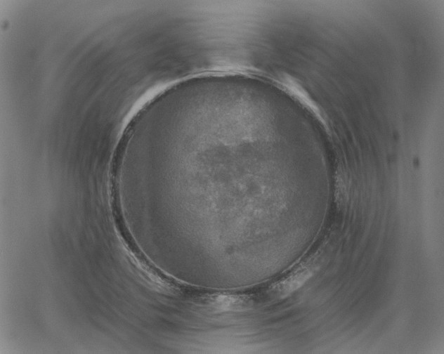 X0000067891412200604201257