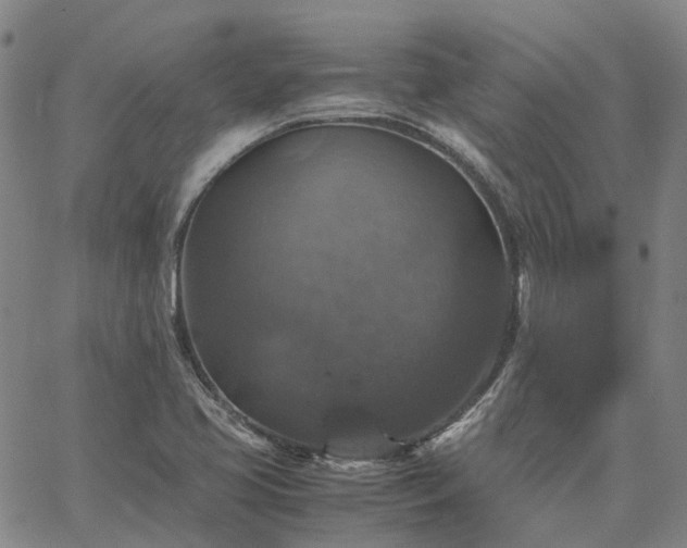 X0000067891413200604201257